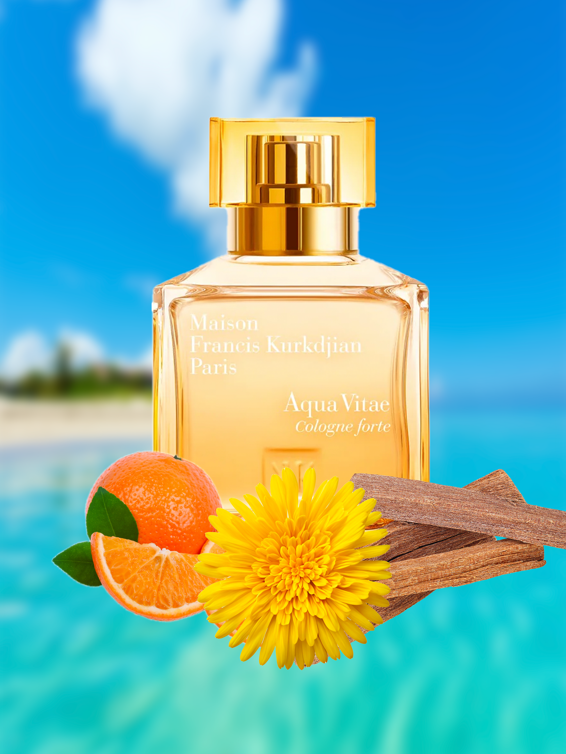 MFK Aqua Vitae Cologne Forte